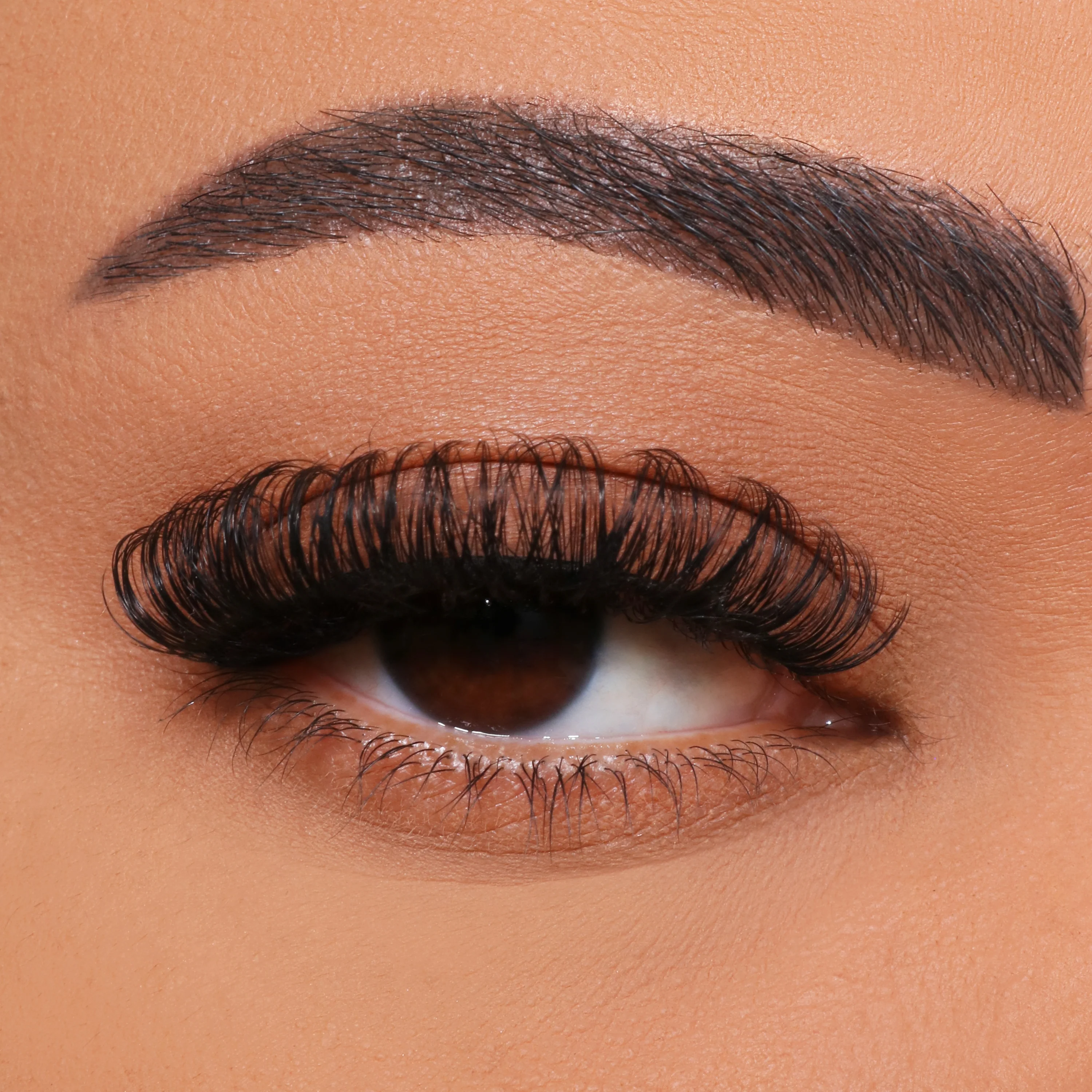 Comment diy greffer la greffe de cils multiples?